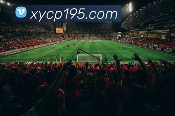 幸运彩票xycp发展历程